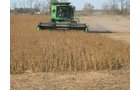 Property photo 29 - 110+/- Acres offered in 4 Tillable Tracts